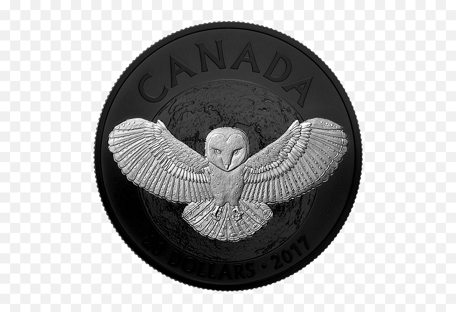 Nocturnal By Nature The Barn Owl - 2017 20 1 Oz Fine Silver Coin Royal Canadian Mint Coin Png,Barn Owl Icon