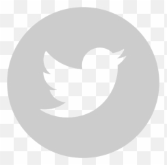 American Business Immigration Coalition - Twitter Banned Words png