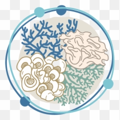 Faculty Accelerator University Of Alaska Fairbanks - Decorative png
