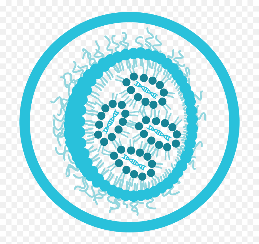 Vaccines - How To Develop A Vaccine Lipid Nanoparticle Icon Png,Precision Fit Icon