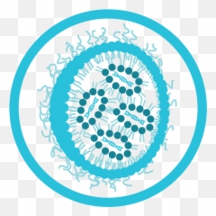 Vaccines - How to develop Lipid Nanoparticle Icon png