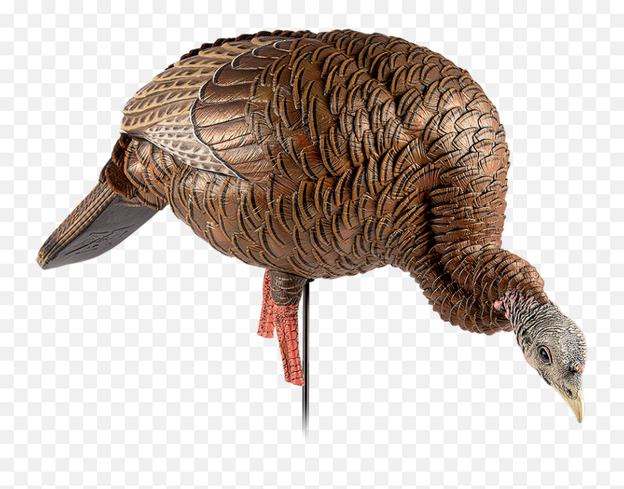 Avian - X Official Site 2021 New Decoys Avian X Hdr Feeder Hen Png,Decoy Icon