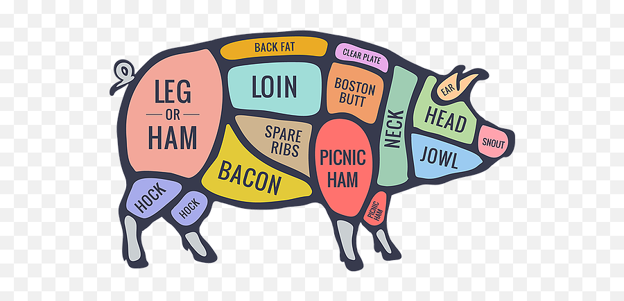 Home Mysite - Pork Cuts Of Meat Diagram Png,Pork Png