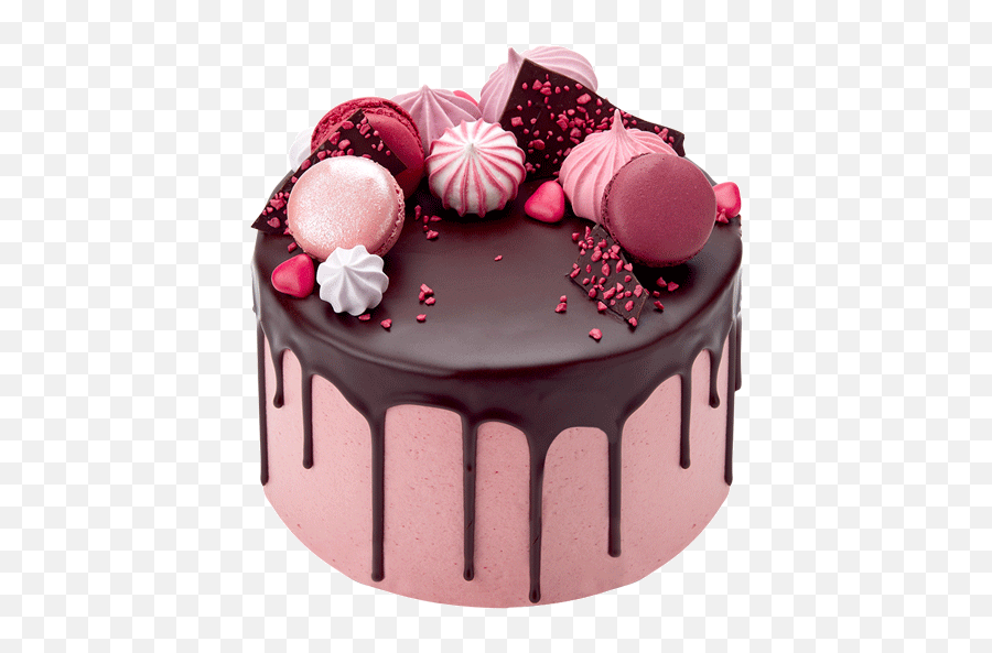 Cake Png Tumblr 9 Image - Fancy Raspberry Chocolate Cake,Cake Png Transparent