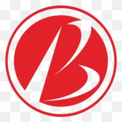 Ningbo Pinbo Plastic Manufactory Co - Circle Png,Chat Logosu