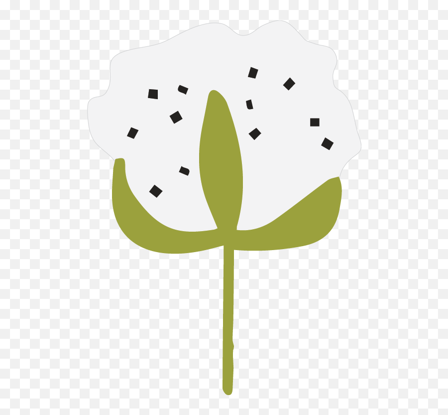 Fabric Facts Coccoli - Poppy Png,Cotton Icon Png