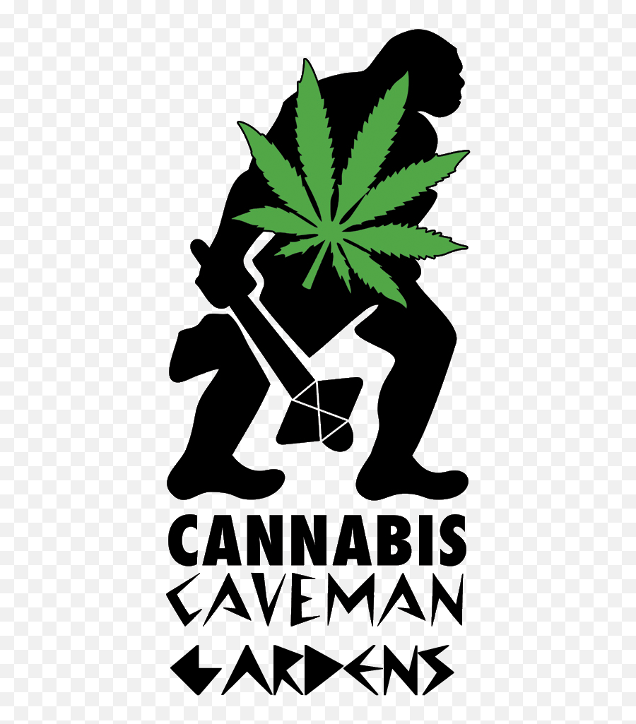 Cannabis Caveman Medical Marijuana Bangor Me - Leaf Png,Marijuana Transparent