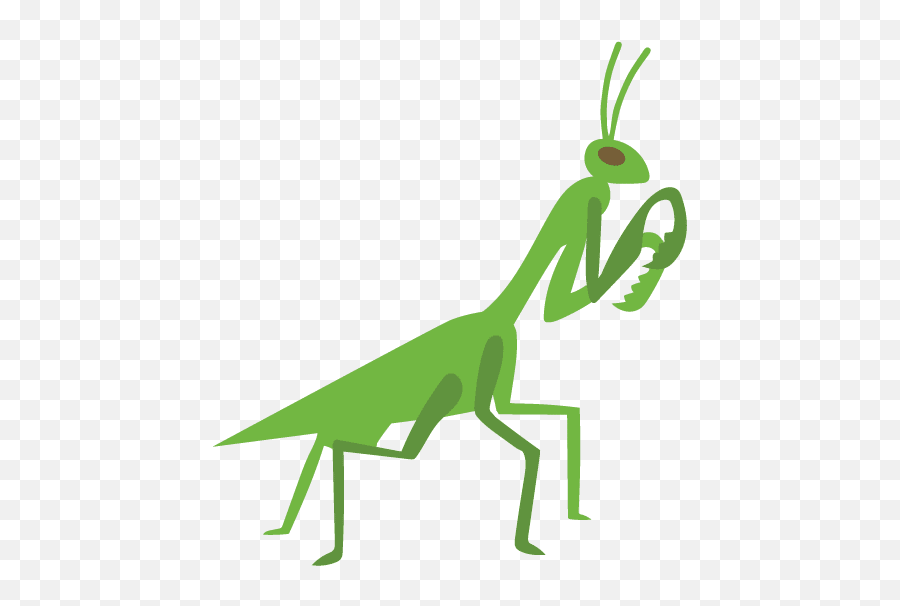 Good Bugs - High Yield Products Canada Png,Praying Mantis Icon