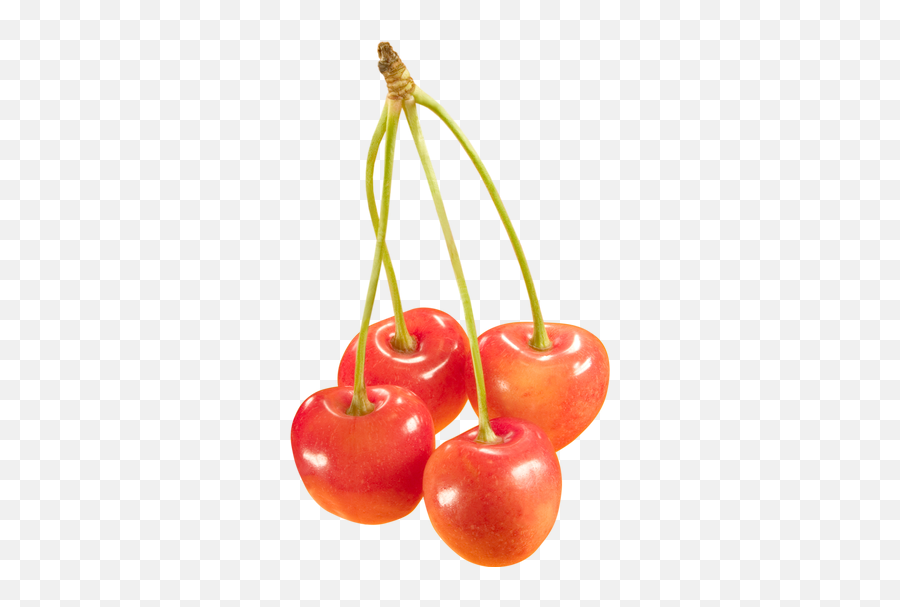Cherry Png Images - Orange Cherry Png,Cherries Png