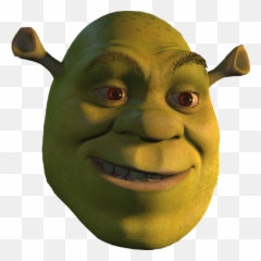 Face Png Image Background - Shrek Head Png,Face Png
