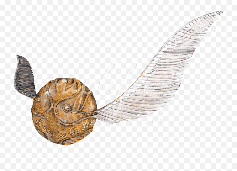 Uplift Illustrations Png Golden Snitch