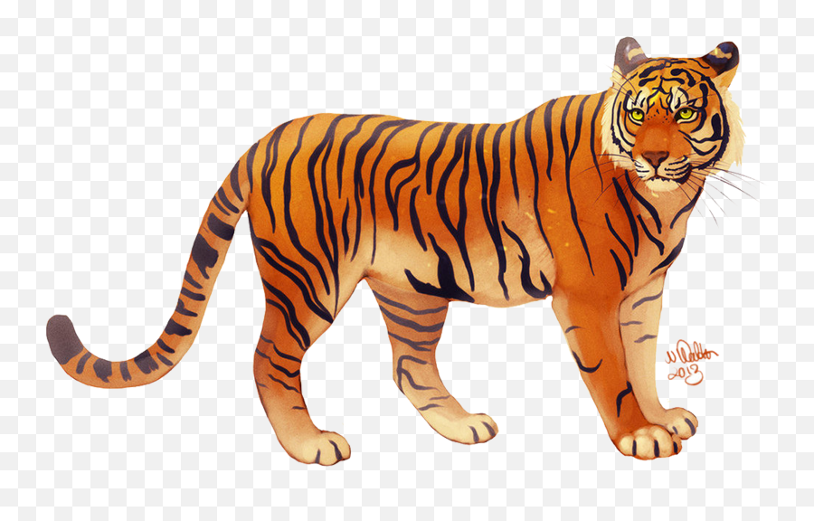 Bali Tiger Javan I Ching - Tiger Png Download 2953 Tiger Png,Tiger Png
