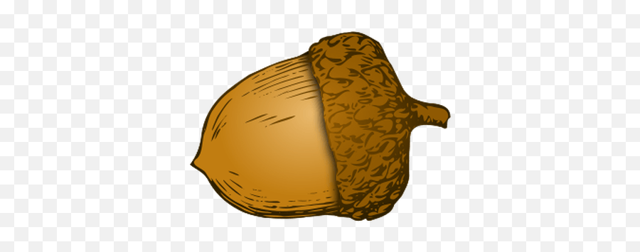 Acorns Transparent Png Images - Acorn Clipart Transparent Background,Acorn Transparent Background