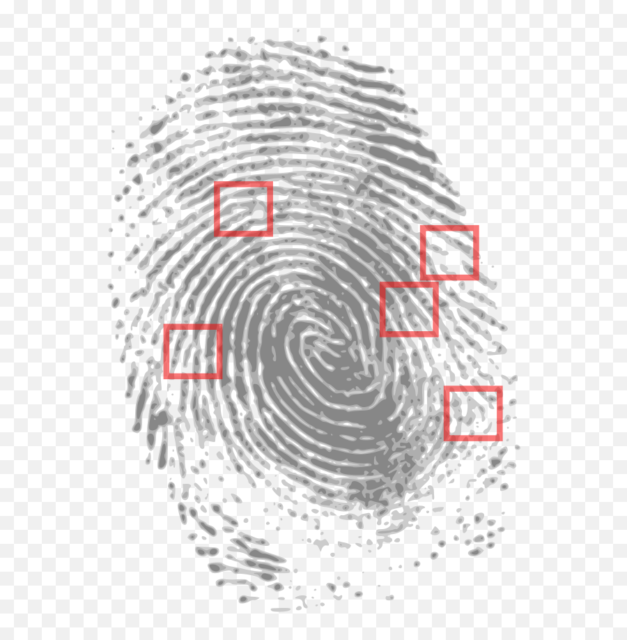 Fingerprint Png Clip Arts For Web - Clip Arts Free Png Crime Scene Fingerprints,Fingerprint Png
