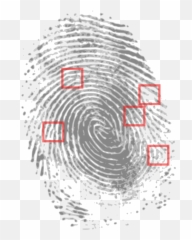 Fingerprint Png Clip Arts For Web - free Crime Scene Fingerprints