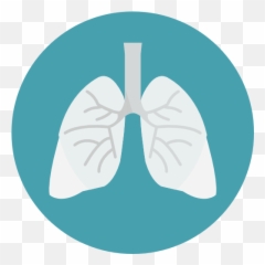 Lungs - Free medical icons Citations Icon png