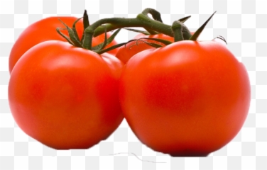 Tomato Png Images Transparent Background Play - Roma Tomato Transparent,Tomato Png