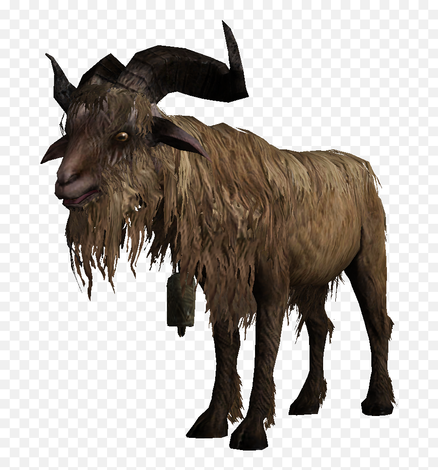 Goat - Skyrim Wiki Skyrim Goat Png,Goat Png