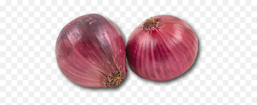 Download Hd Australia Red Onion - Red Onion Transparent Png Red Onion,Onion Transparent
