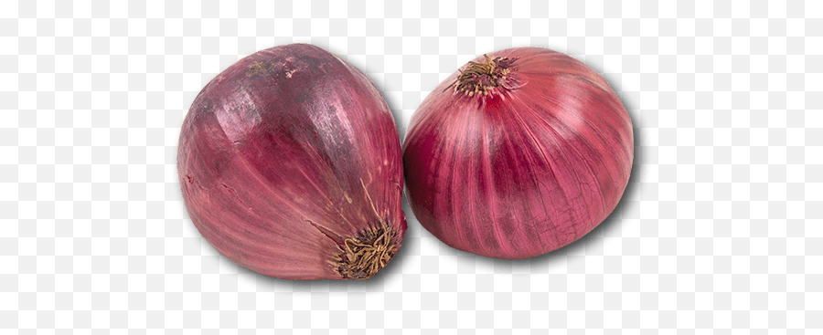 Download Hd Australia Red Onion - Red Onion Transparent Png Red Onion,Onion Transparent Download Hd Australia Red Onion - Red Onion Transparent Png Red Onion,Onion Transparent