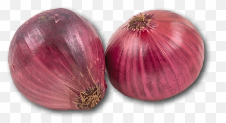 Download Hd Australia Red Onion - Transparent PNG