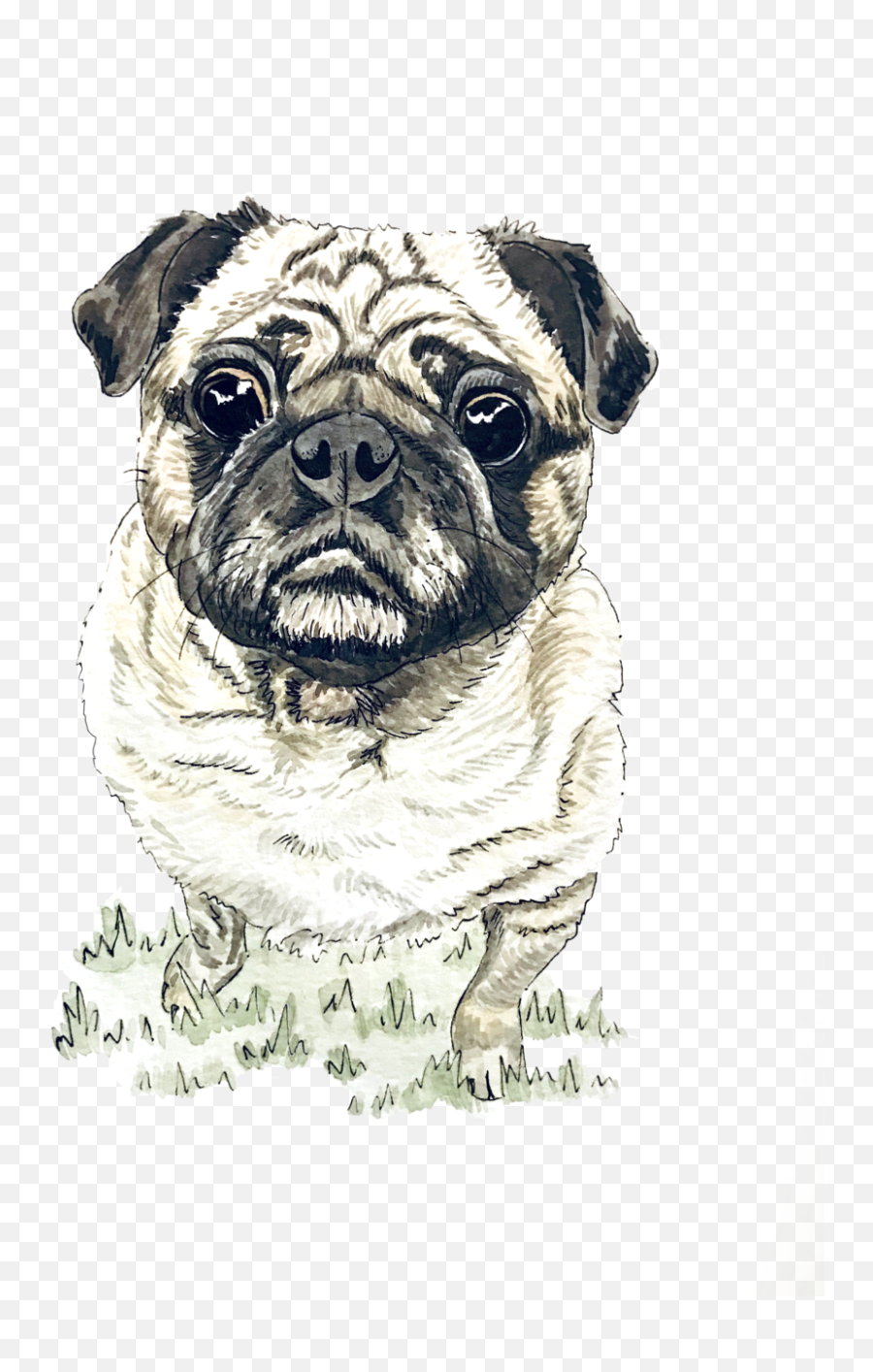 Mary Annis Hand Lettering U0026 Fine Art Reclaimed - Pug Png,Pug Png