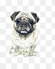 Mary Annis Hand Lettering U0026 Fine Art Reclaimed - Pug Png,Pug Png