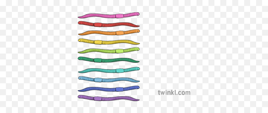Worms Illustration - Twinkl Wire Png,Worms Png