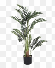 Palm Tree Transparent Image Png Arts - Tall Artificial Kmart