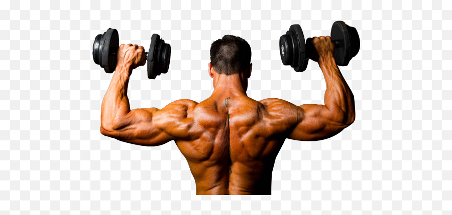 Gym Bodybuilding Background Png Image - Shoulder Muscles Bodybuilding,Body Builder Png