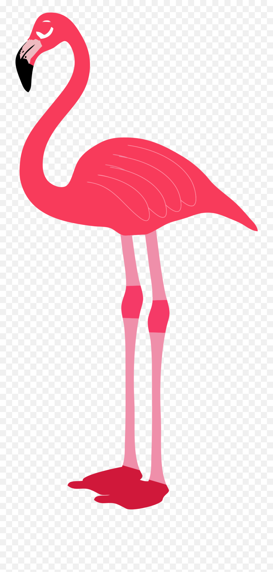 Flamingo Png Transparent Clipart Image - Flamingo Png,Bird Clipart Png