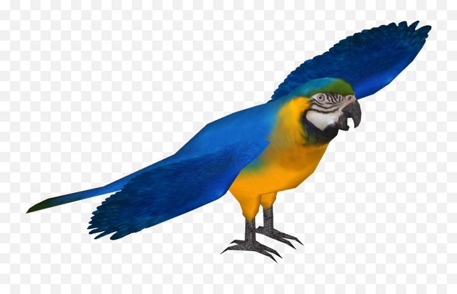 Blue And Gold Macaw - Blue Macaw Png,Macaw Png