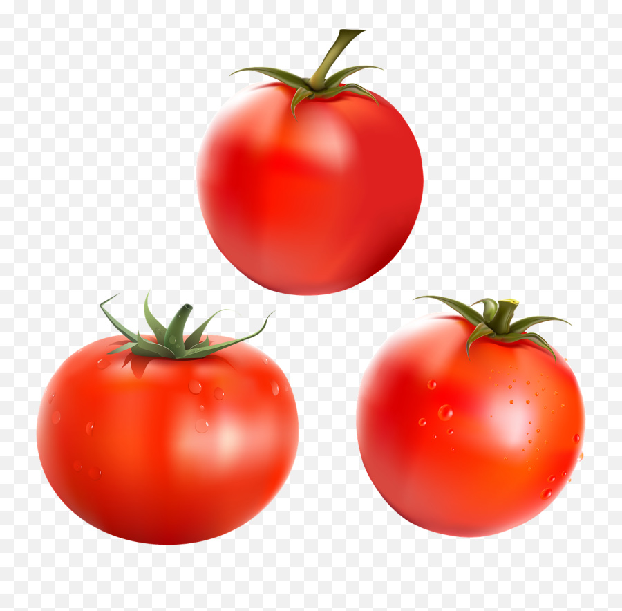 Tomatoes Food Vegetables - Tomato Png,Tomatoes Png
