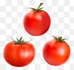 Tomatoes Food Vegetables - png