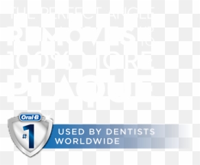 Oral - B png
