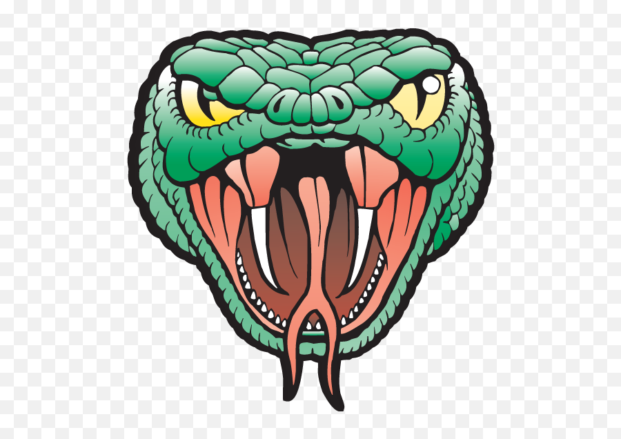 Download Viper Head Only Png Image With - Viper Head,Snake Head Png