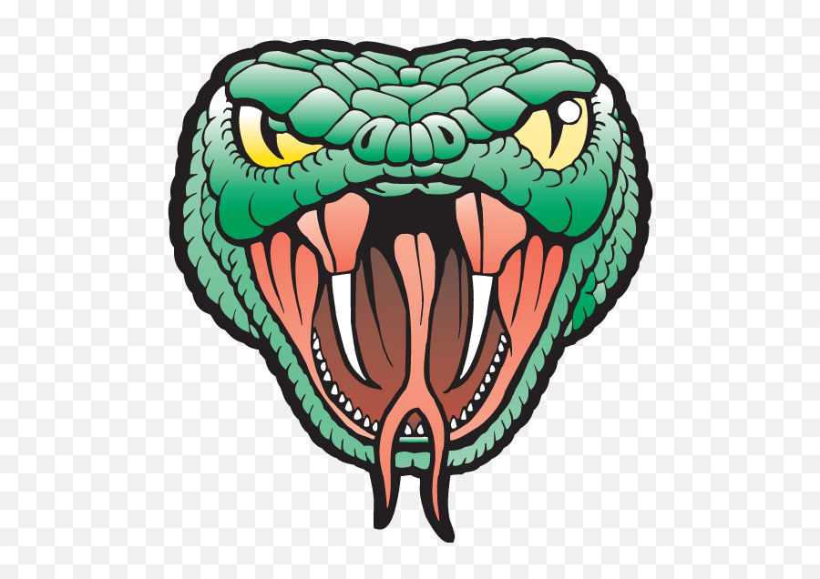 snake head png