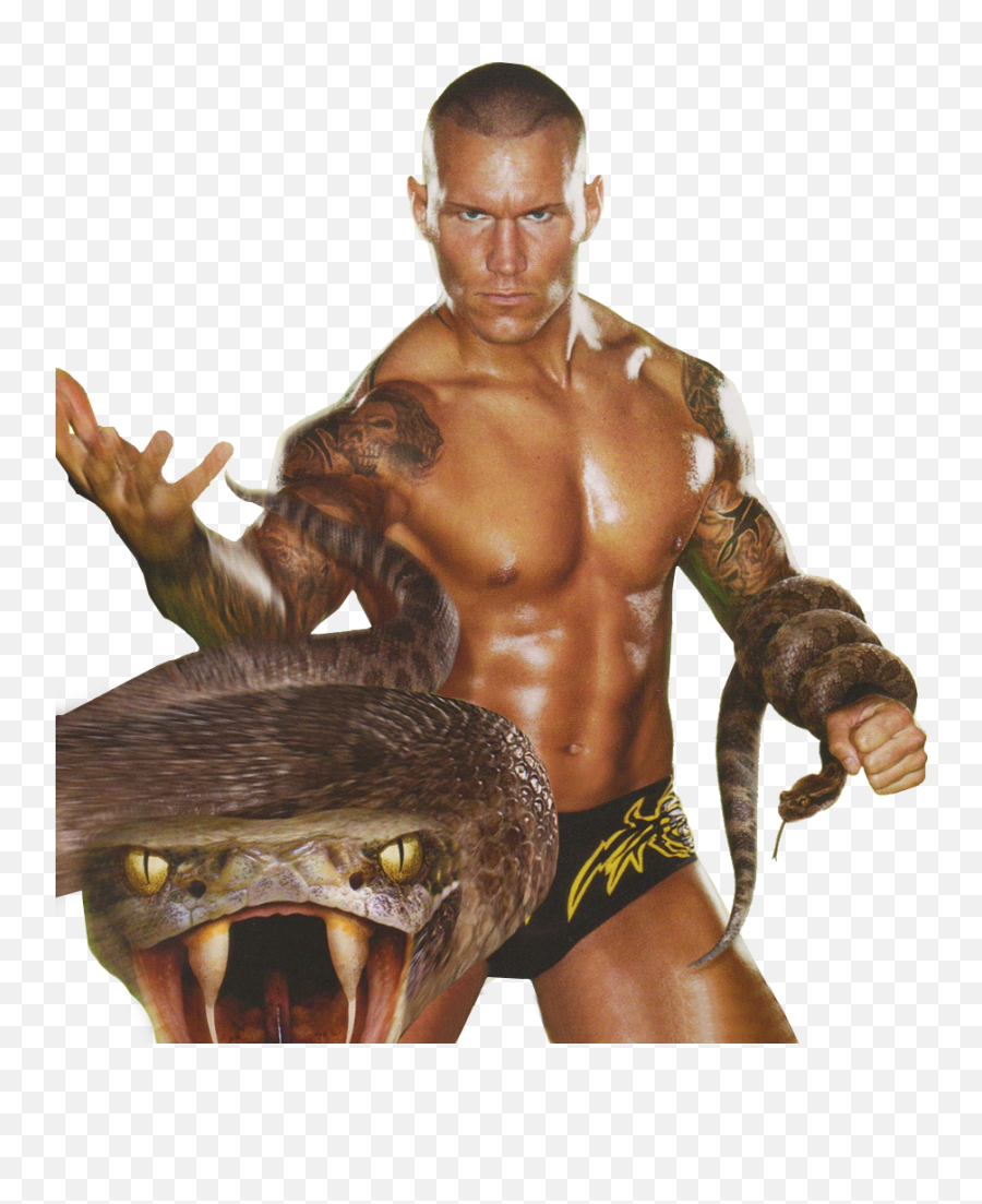 Randy Orton Magazine Scan Ricky48195 U2014 Livejournal - Randy Orton Magazine Png,Randy Orton Png