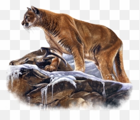 Wildlife Fabric Mountain Lion - Mountain Lion Fabric Panel Png,Mountain Lion Png