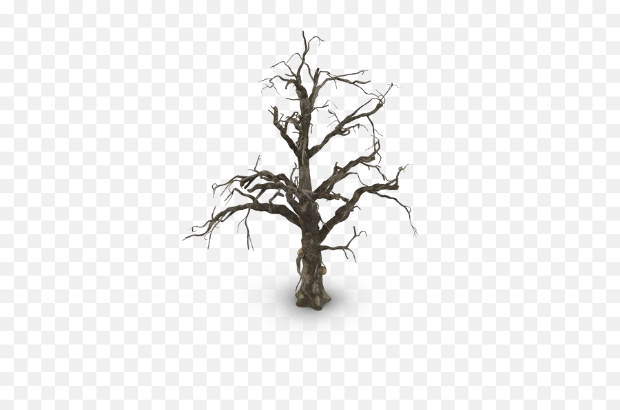 Spooky Tree Png Pic Mart - Portable Network Graphics,Bonsai Tree Png