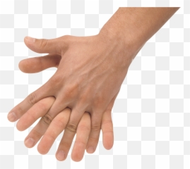 Margarita Hand Holding Transparent U0026 Png Clipart Free - Holding Hands Transparent Png,Hand Holding Png