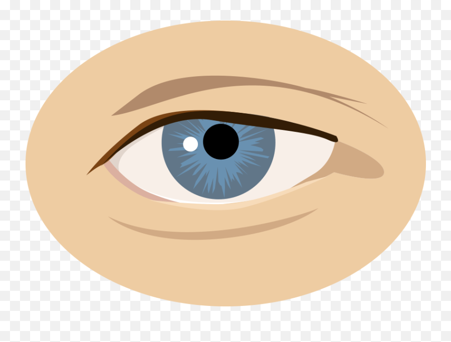 Vision Quest Oculoplastic Surgery Services - Dry Png,Yellow Eye Icon