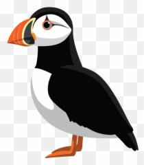 Beginners Swimming Lessons And Non Swimmers Swimhappy - Atlantic Puffin png