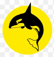 Icon - yelloworca Bay Explorer png