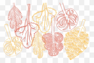 International Institute - You Re Invited Thanksgiving Logo Png,You're Invited Png