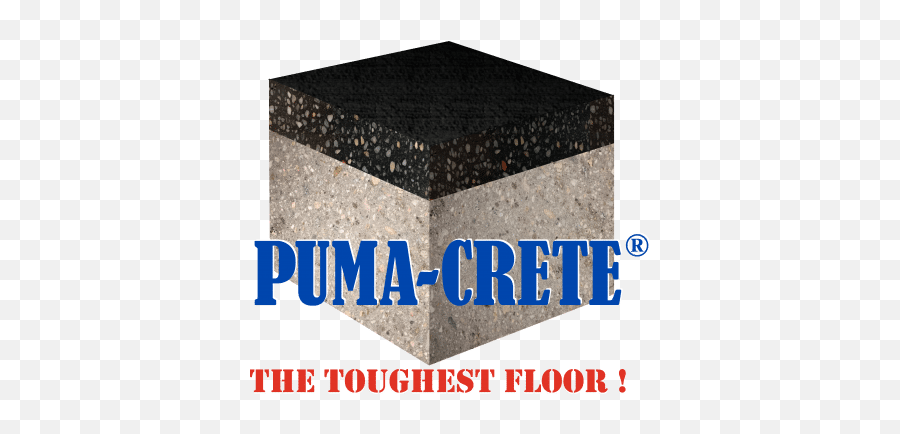 Puma - Creteecopnge1526584567299 E P Floors Corp Floor Png,Puma Png