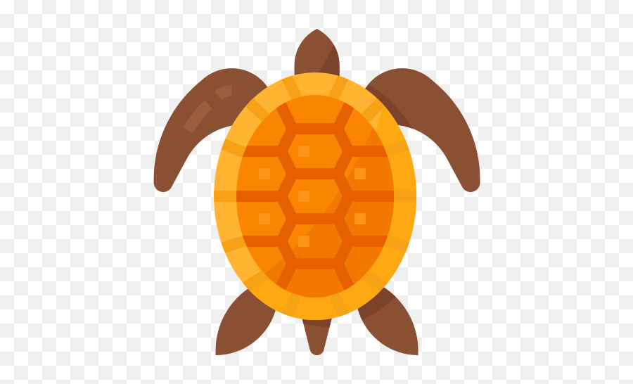 Turtle - Free Animals Icons Tortoise Png,Sea Turtle Icon