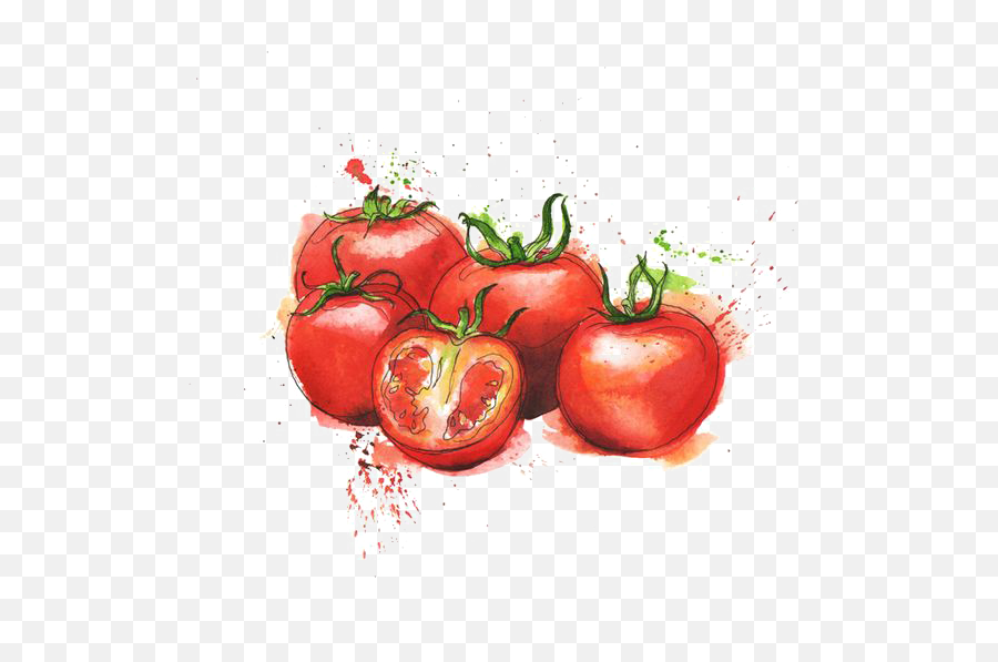 Download Free Tomato Cuisine Organic Food Juice Bush Italian - Italian Water Color Food Png,Watercolor Pinterest Icon