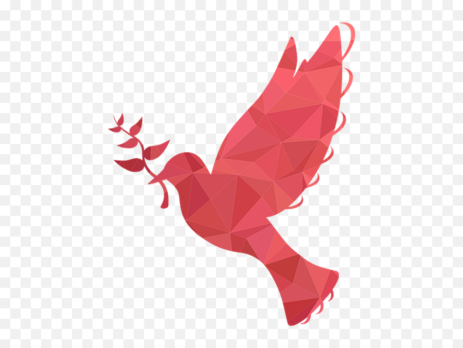 Download Free Photo Of Pigeon Bird Flower Peace Icon Png Low Poly