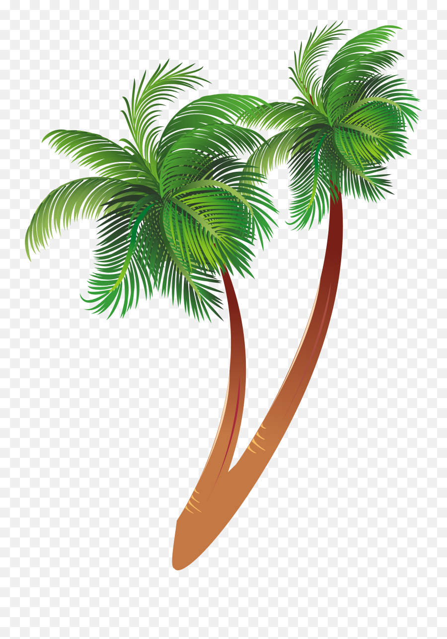 Free Download Cartoon Palm Tree Clipart Coconut - Palm Transparent  Background Coconut Tree Clipart Png,Palm Tree Clipart Png - free  transparent png images 